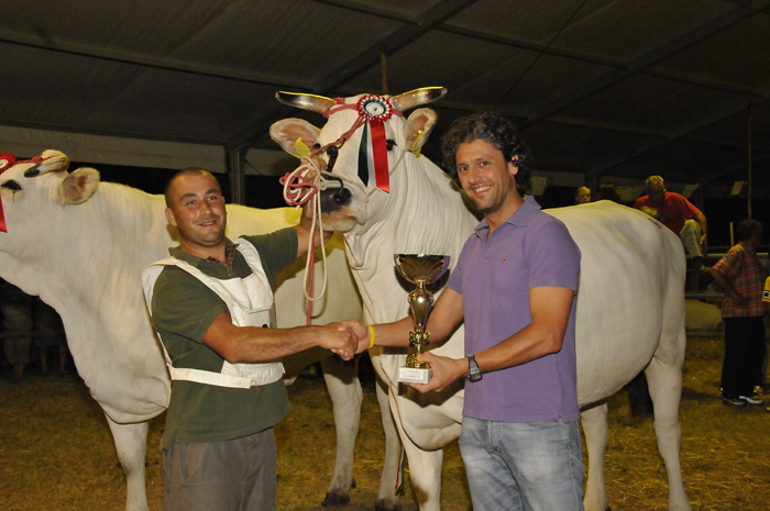 7ª Mostra Regionale - La California 2011