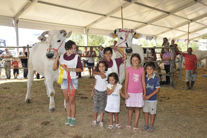 7ª Mostra Regionale - La California 2011