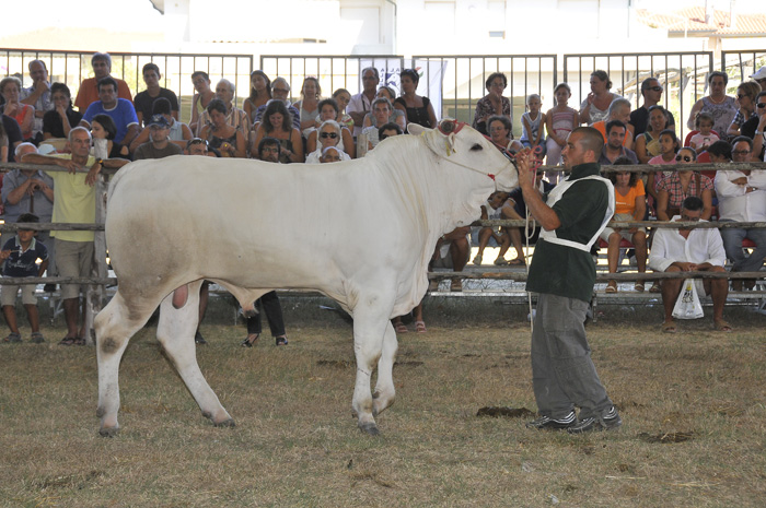 7ª Mostra Regionale - La California 2011