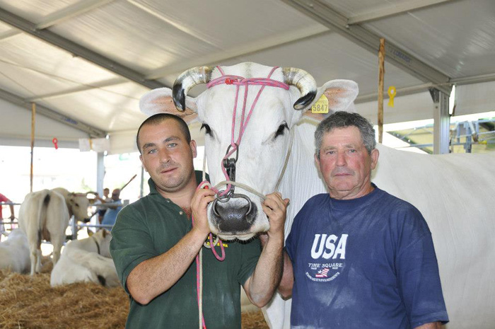 8ª Mostra Regionale - La California 2012