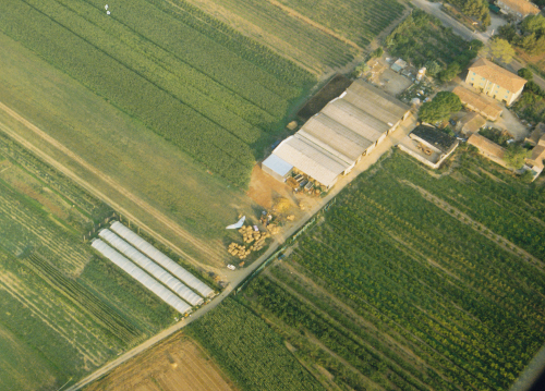 Foto aerea della tenuta Mecherini
