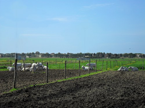 Esterno della stalla
