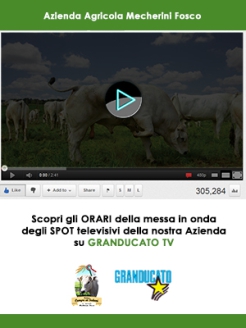 Guarda gli orari della messa in onda degli spot dell'Azienda Agricola Mecherini